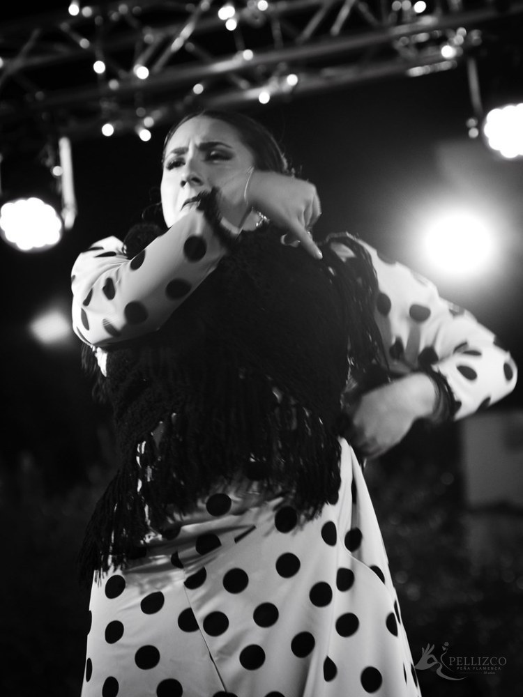 Photo de spectacle