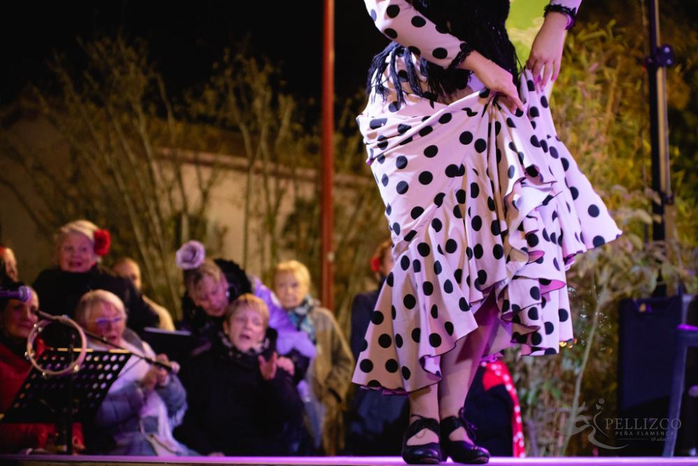 Photo de spectacle