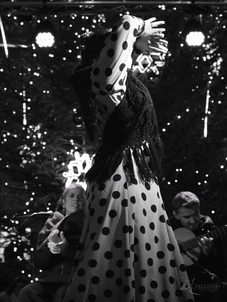Photo de spectacle