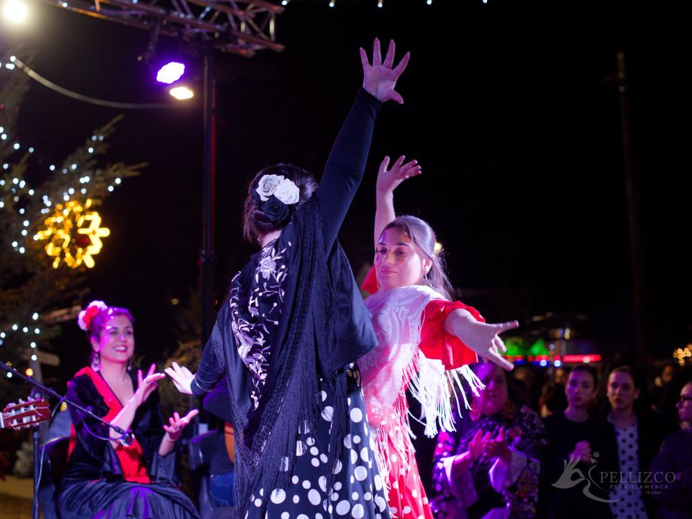 Photo de spectacle