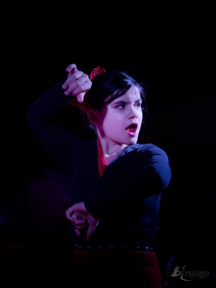 Photo de spectacle