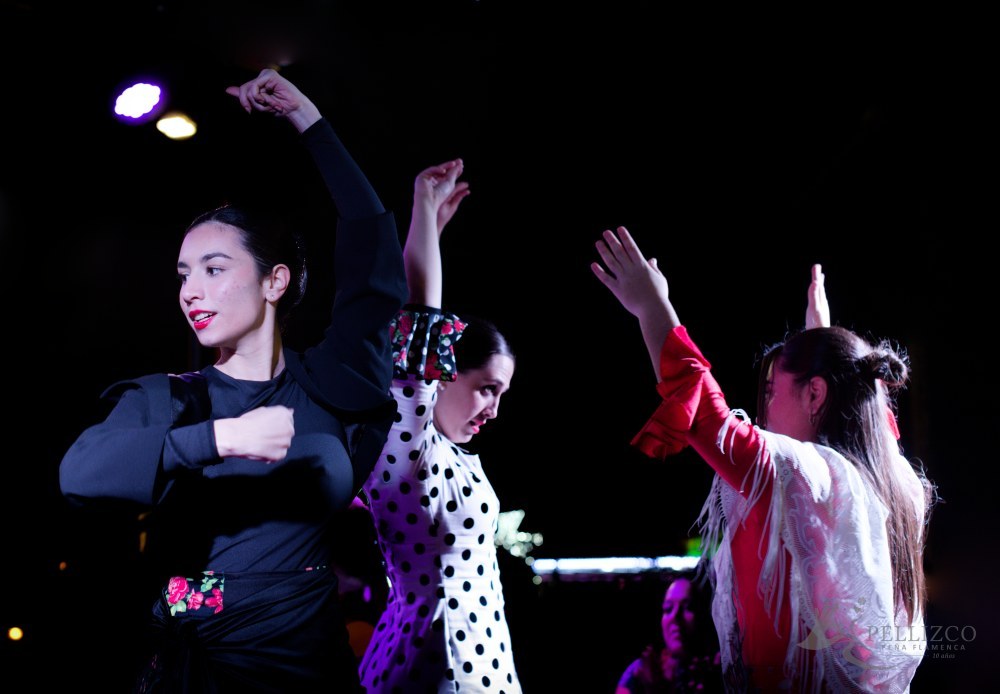 Photo de spectacle