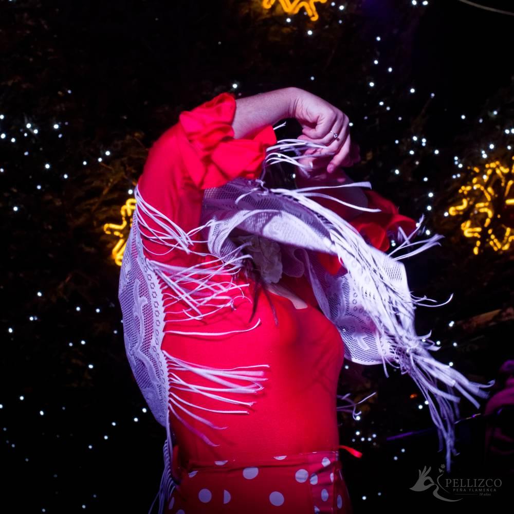 Photo de spectacle