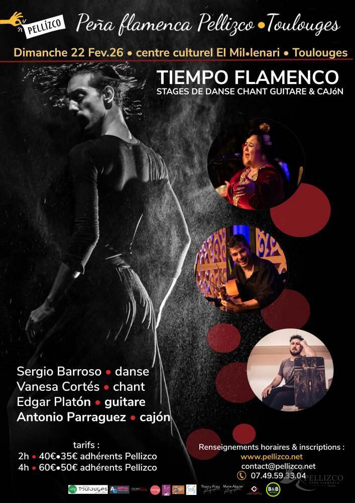 Couverture de TIEMPO FLAMENCO Sergio Barroso