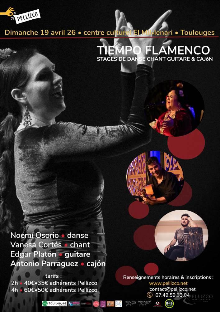 Couverture de TIEMPO FLAMENCO Noemí Osorio