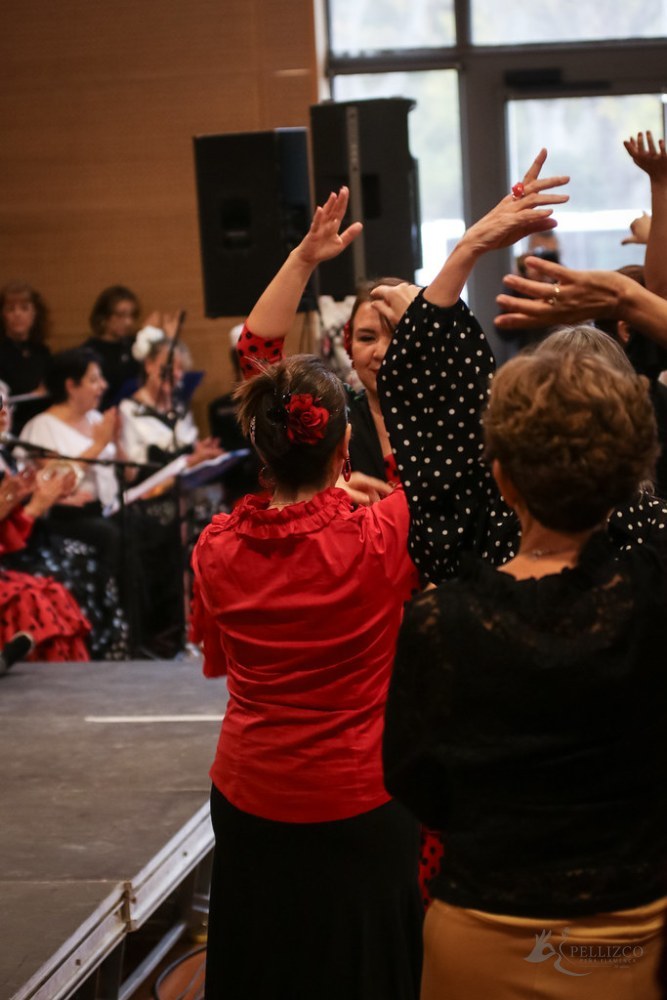 Photo de spectacle