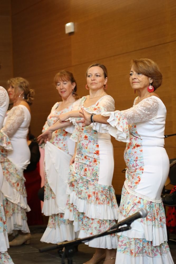 Photo de spectacle
