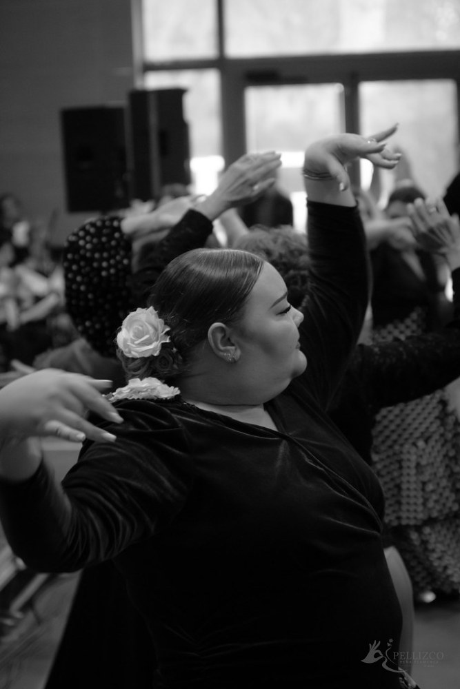 Photo de spectacle