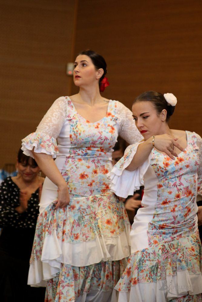 Photo de spectacle