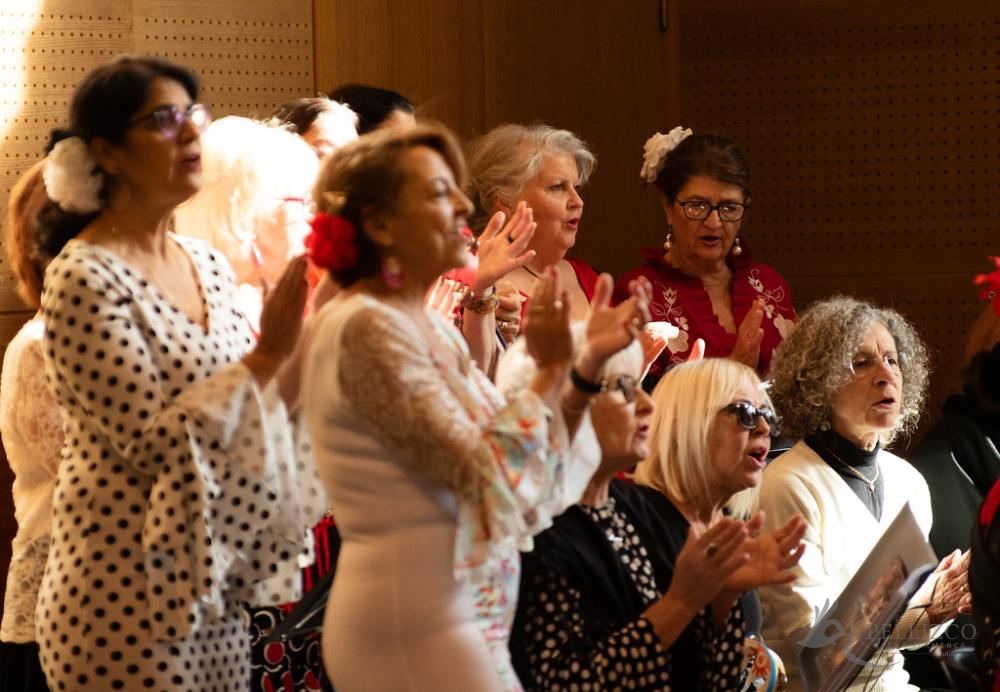 Photo de spectacle