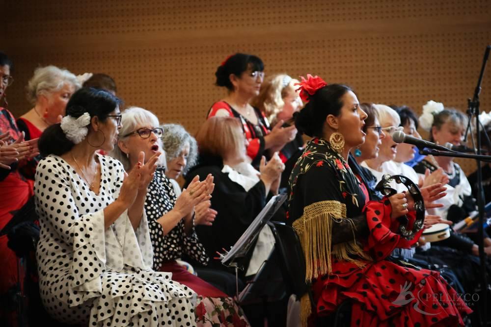 Photo de spectacle