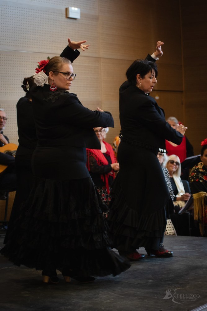Photo de spectacle