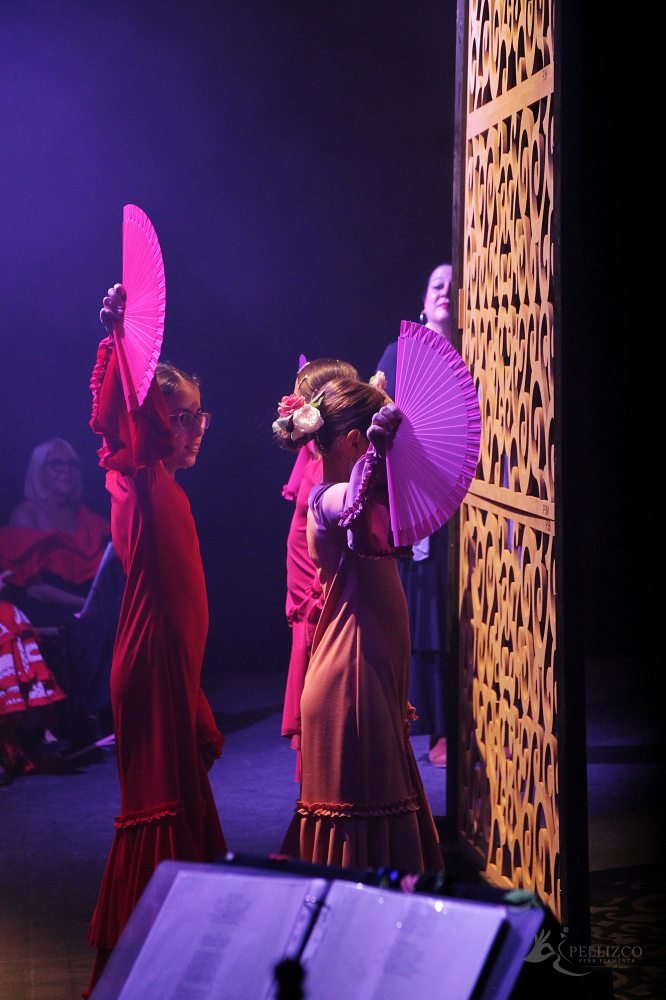 Photo de spectacle