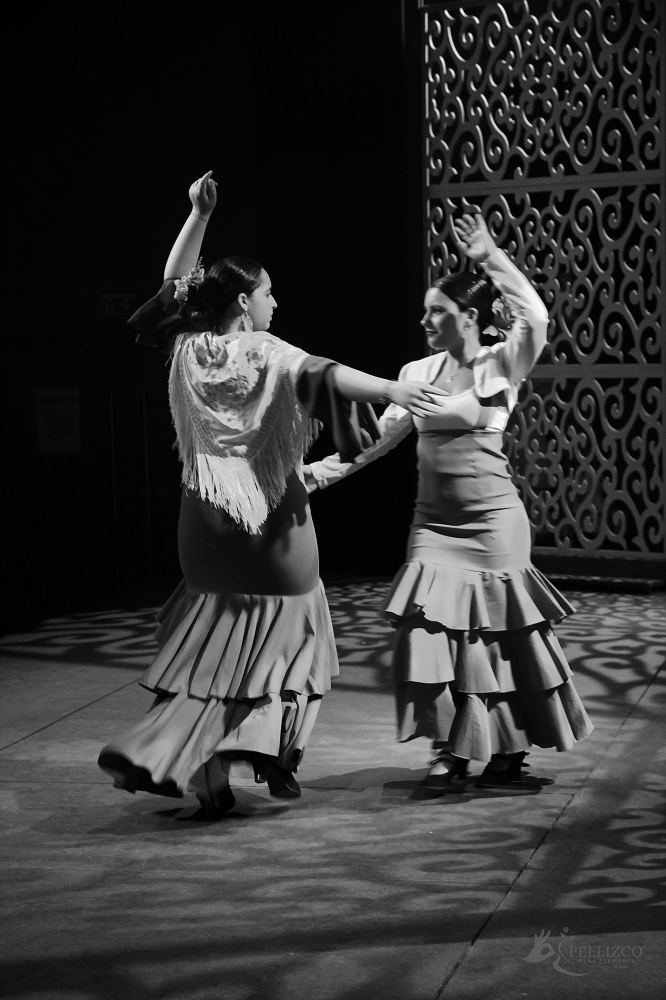 Photo de spectacle