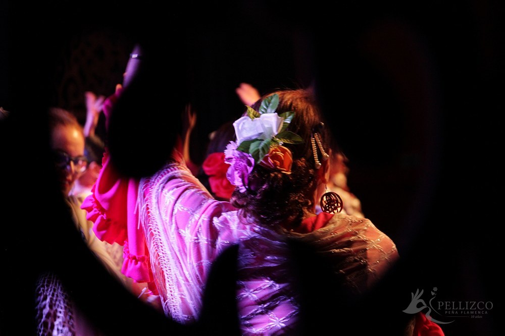Photo de spectacle