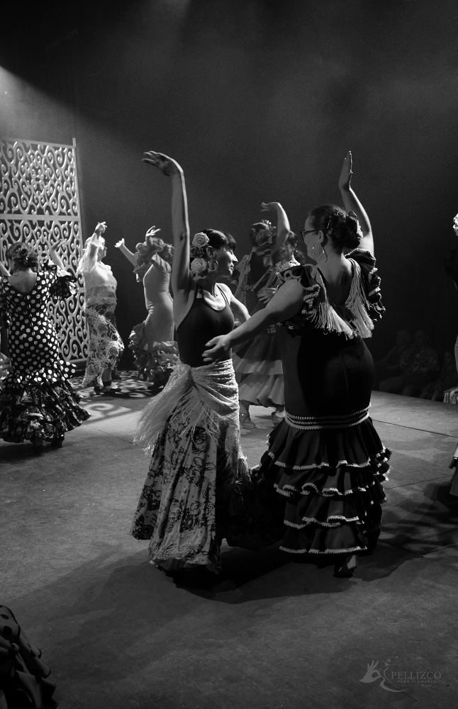 Photo de spectacle