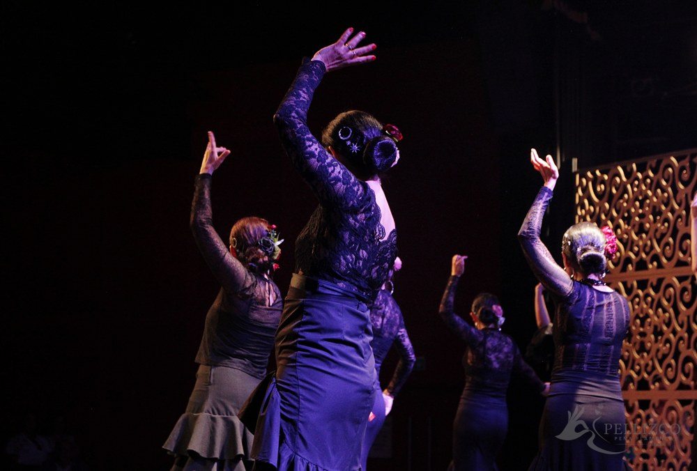 Photo de spectacle