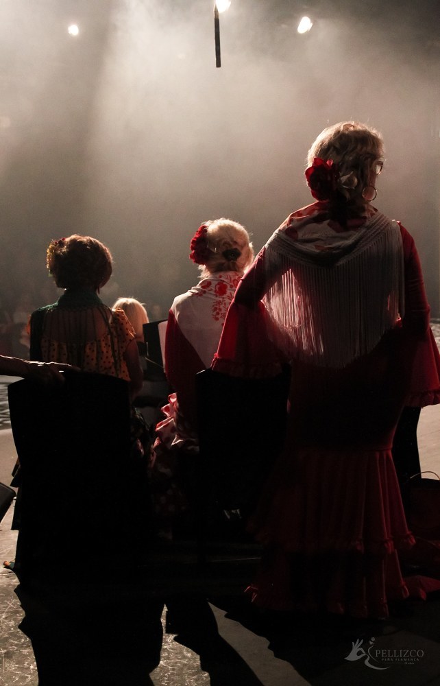 Photo de spectacle