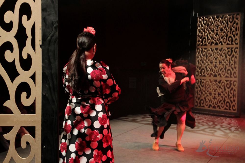 Photo de spectacle
