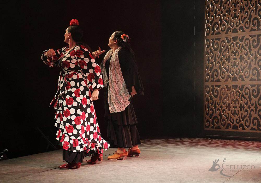 Photo de spectacle