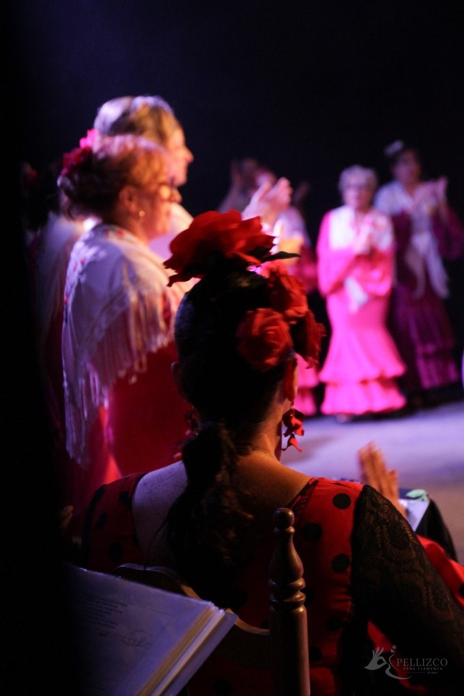 Photo de spectacle