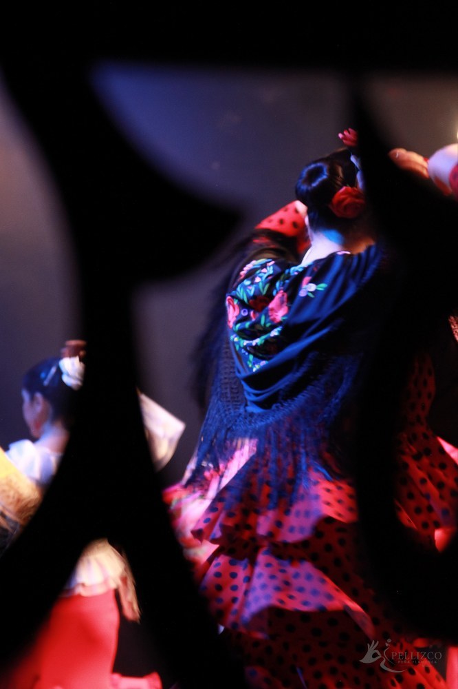 Photo de spectacle