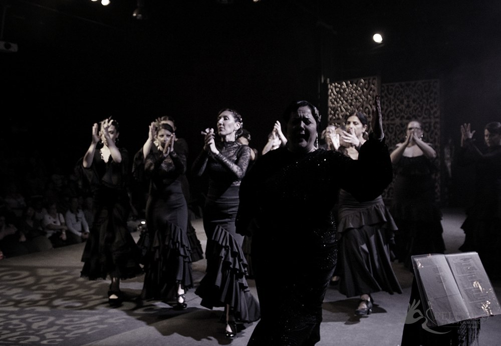 Photo de spectacle