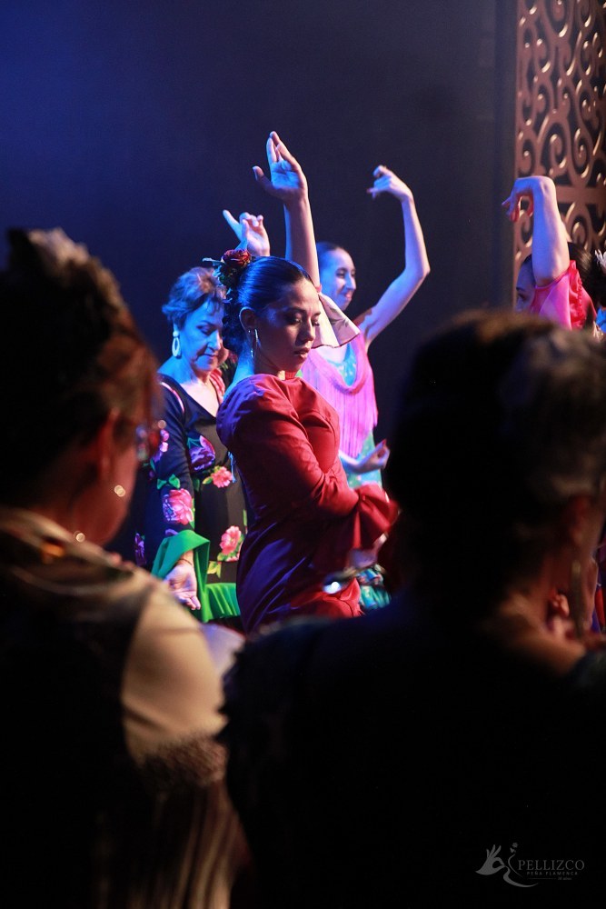 Photo de spectacle
