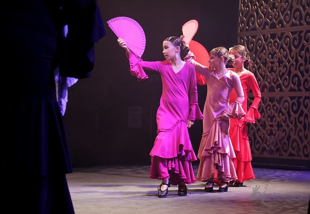 Photo de spectacle
