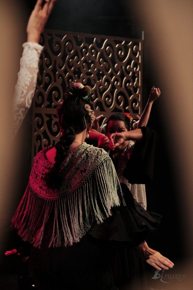 Photo de spectacle