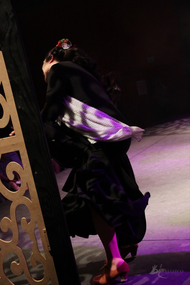 Photo de spectacle