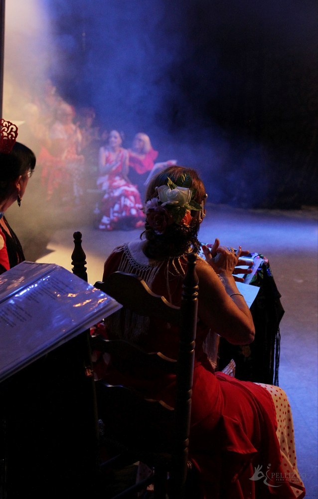Photo de spectacle