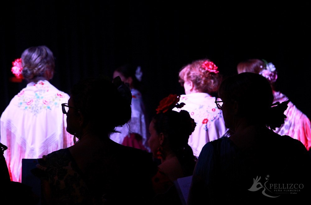 Photo de spectacle