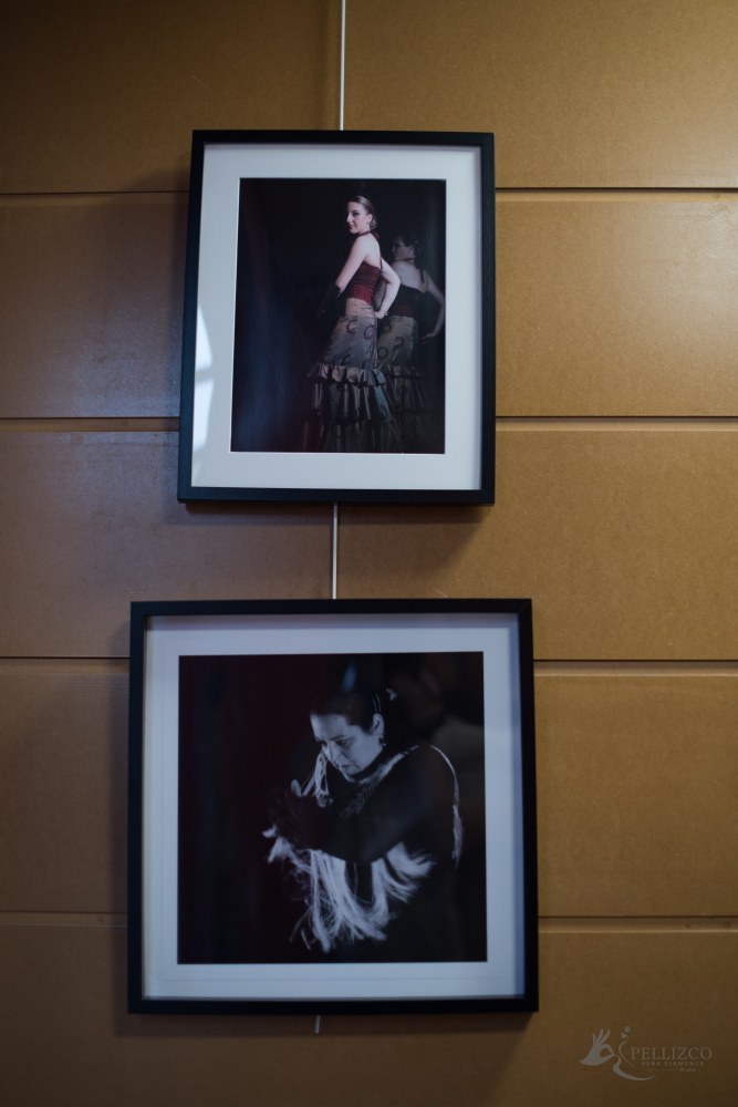 Photo de spectacle