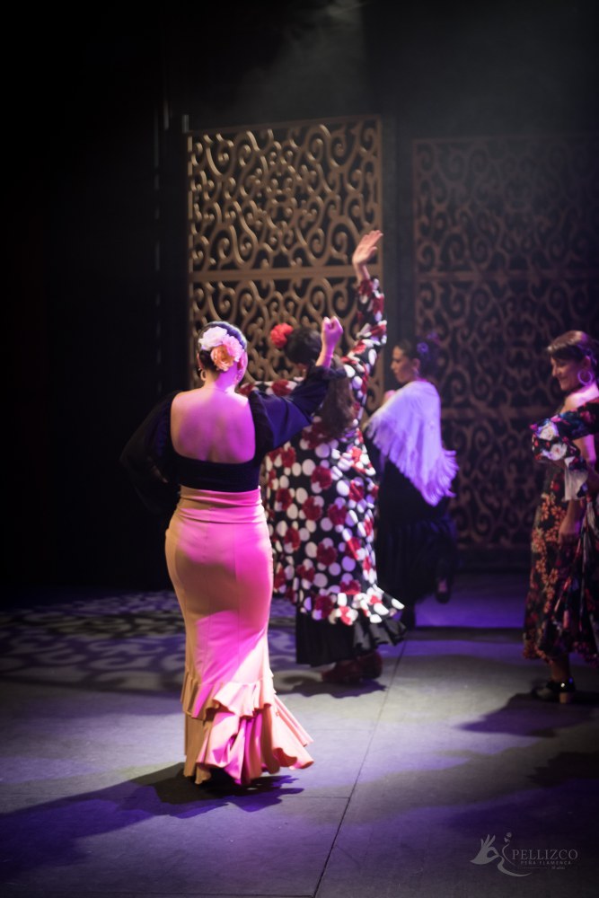 Photo de spectacle