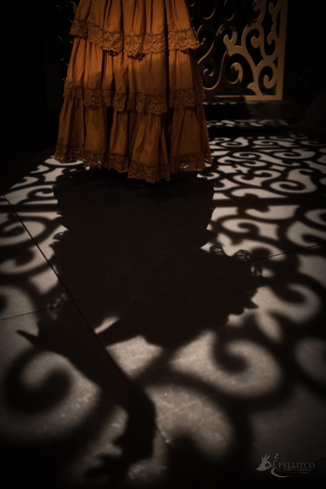 Photo de spectacle