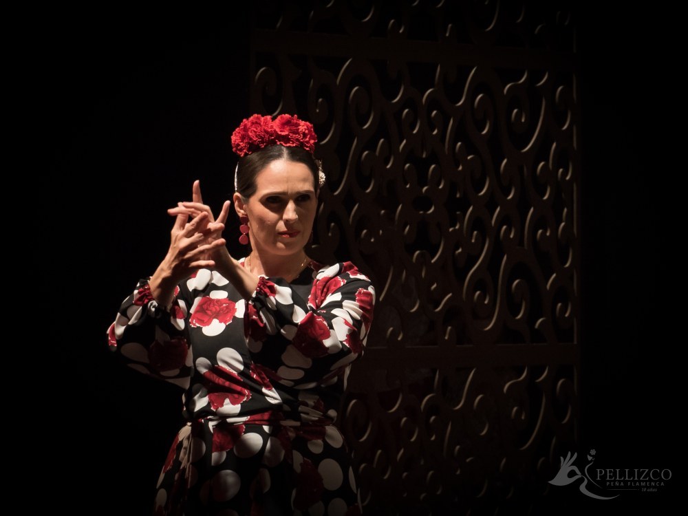 Photo de spectacle