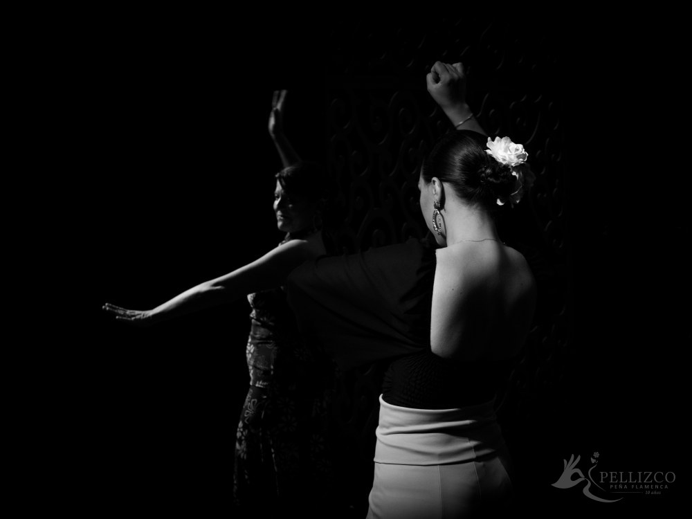 Photo de spectacle