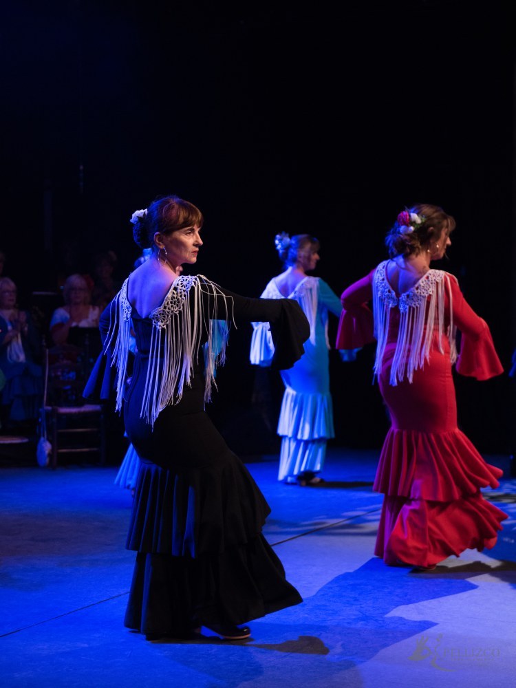 Photo de spectacle