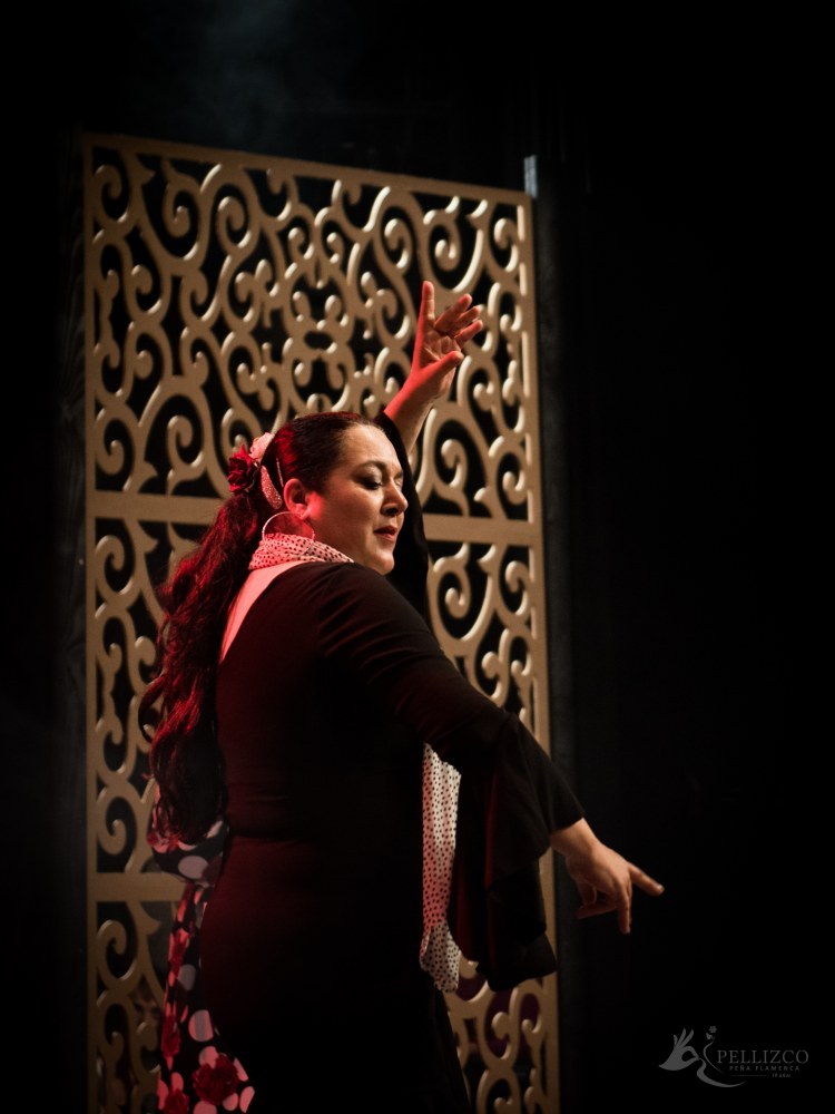 Photo de spectacle