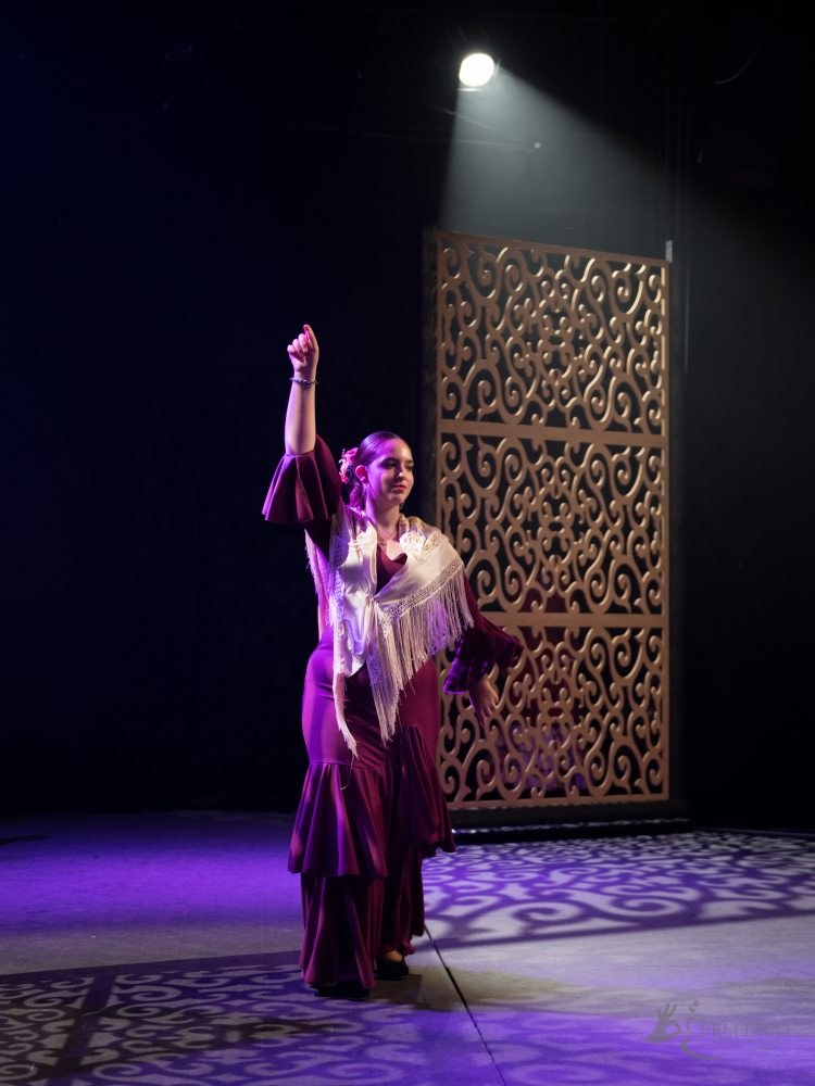 Photo de spectacle
