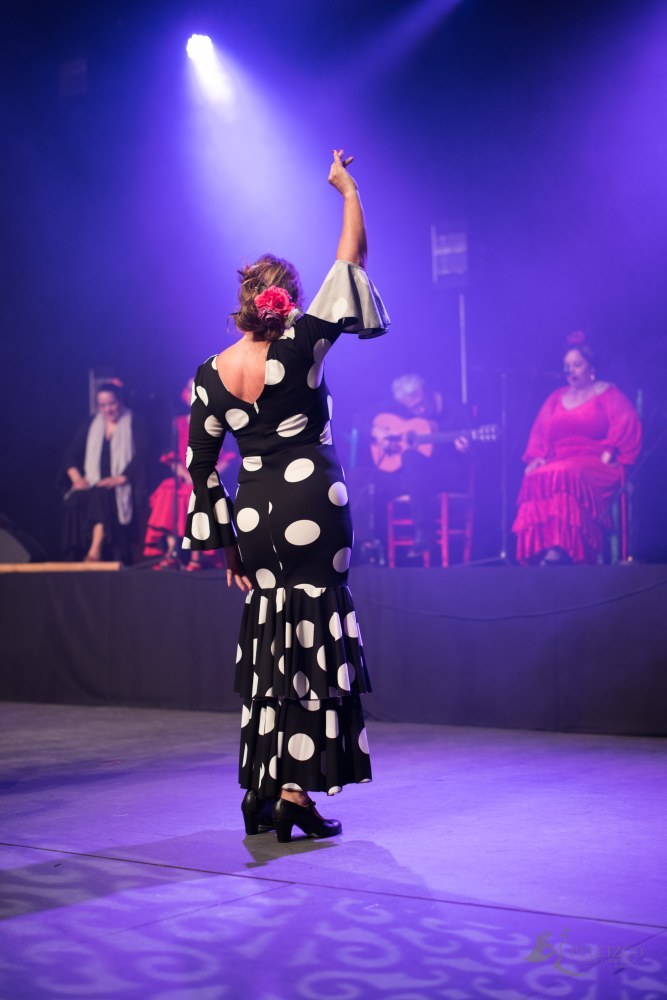 Photo de spectacle