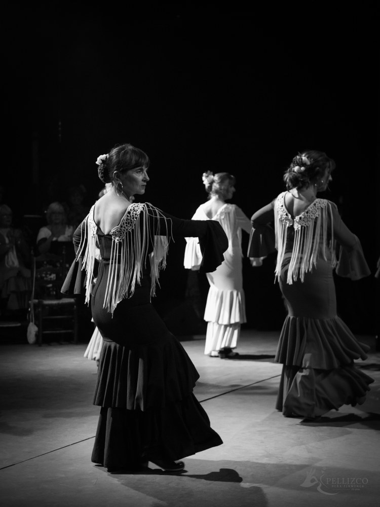 Photo de spectacle