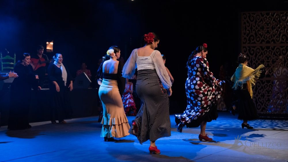 Photo de spectacle