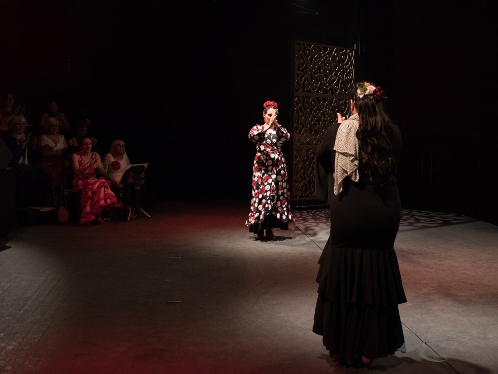 Photo de spectacle