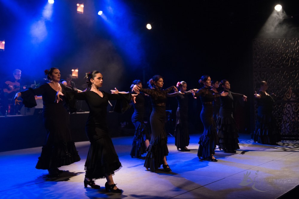 Photo de spectacle