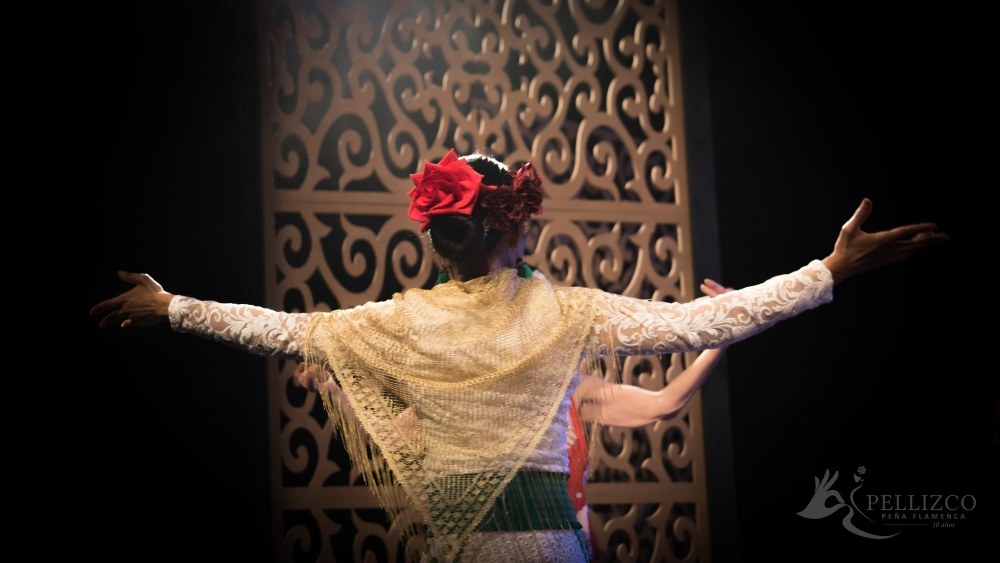 Photo de spectacle