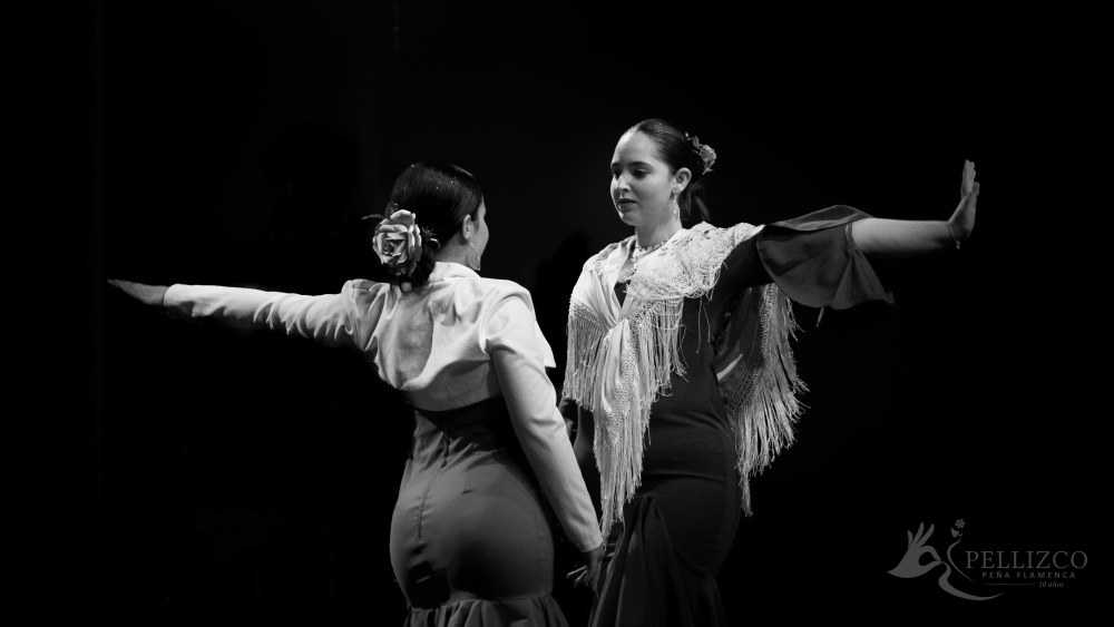 Photo de spectacle