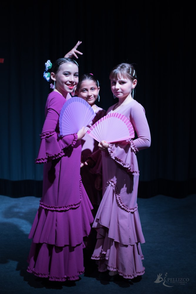 Photo de spectacle
