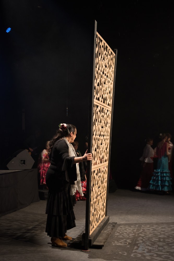 Photo de spectacle
